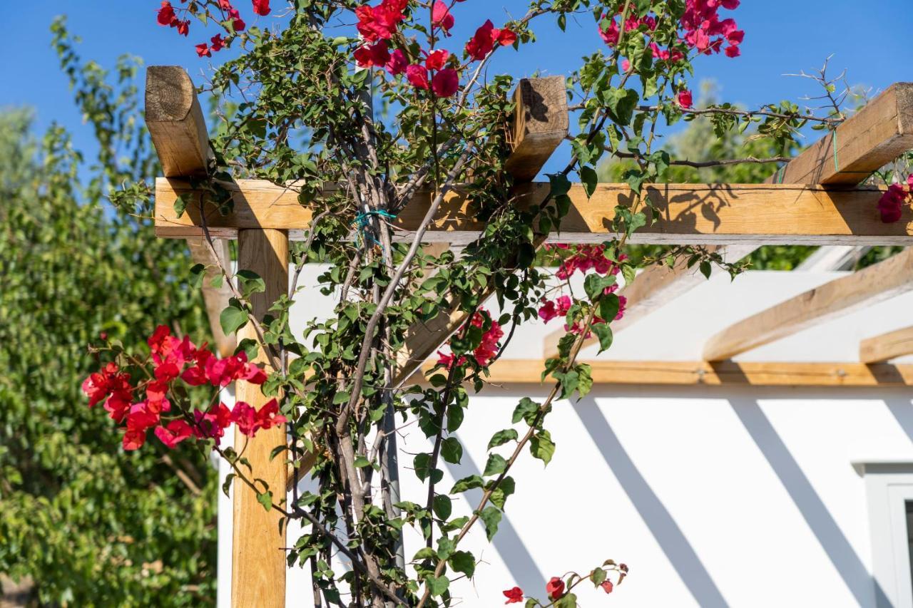 Anassa Cycladic Village Галисас Екстериор снимка