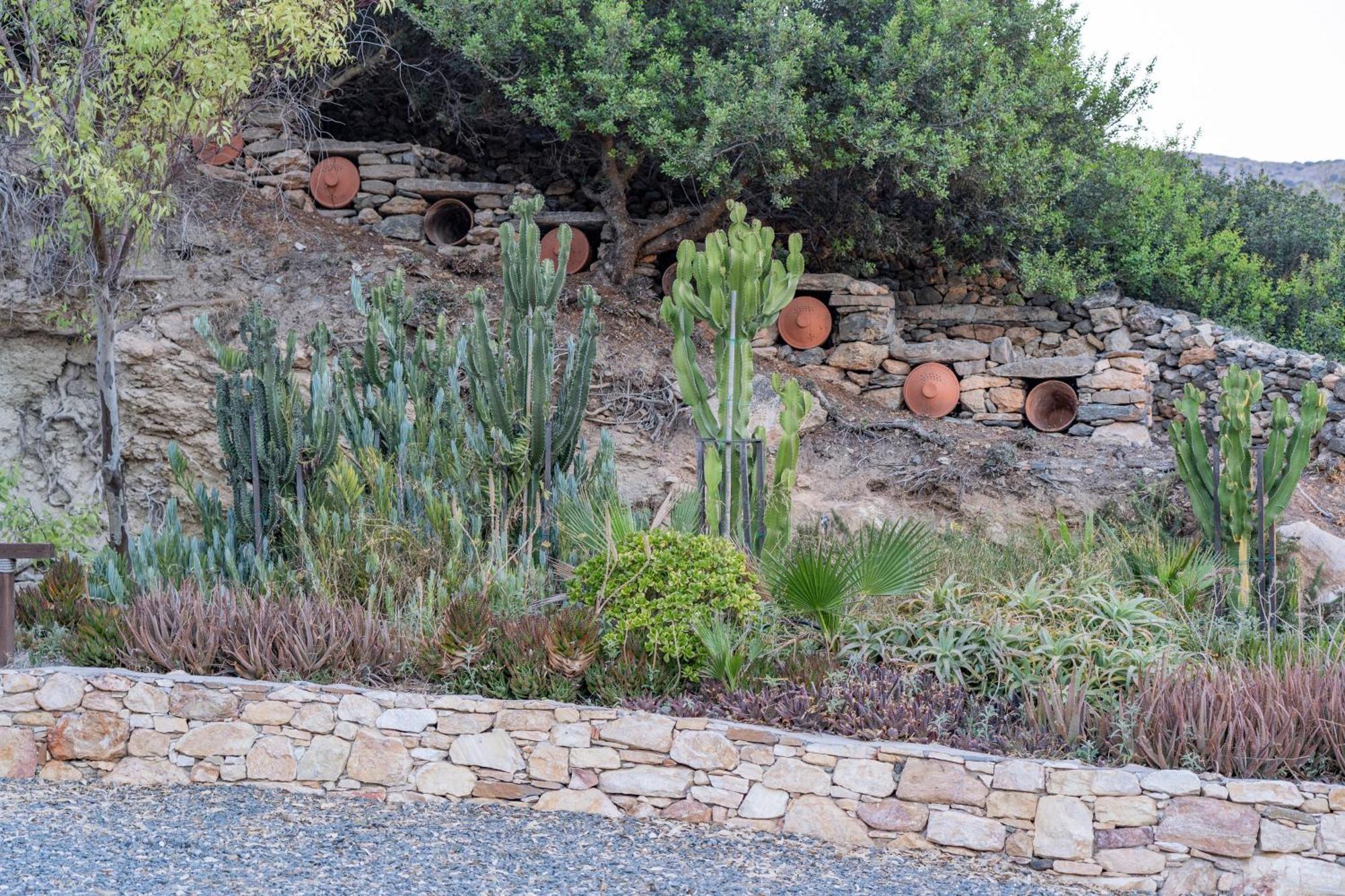 Anassa Cycladic Village Галисас Екстериор снимка