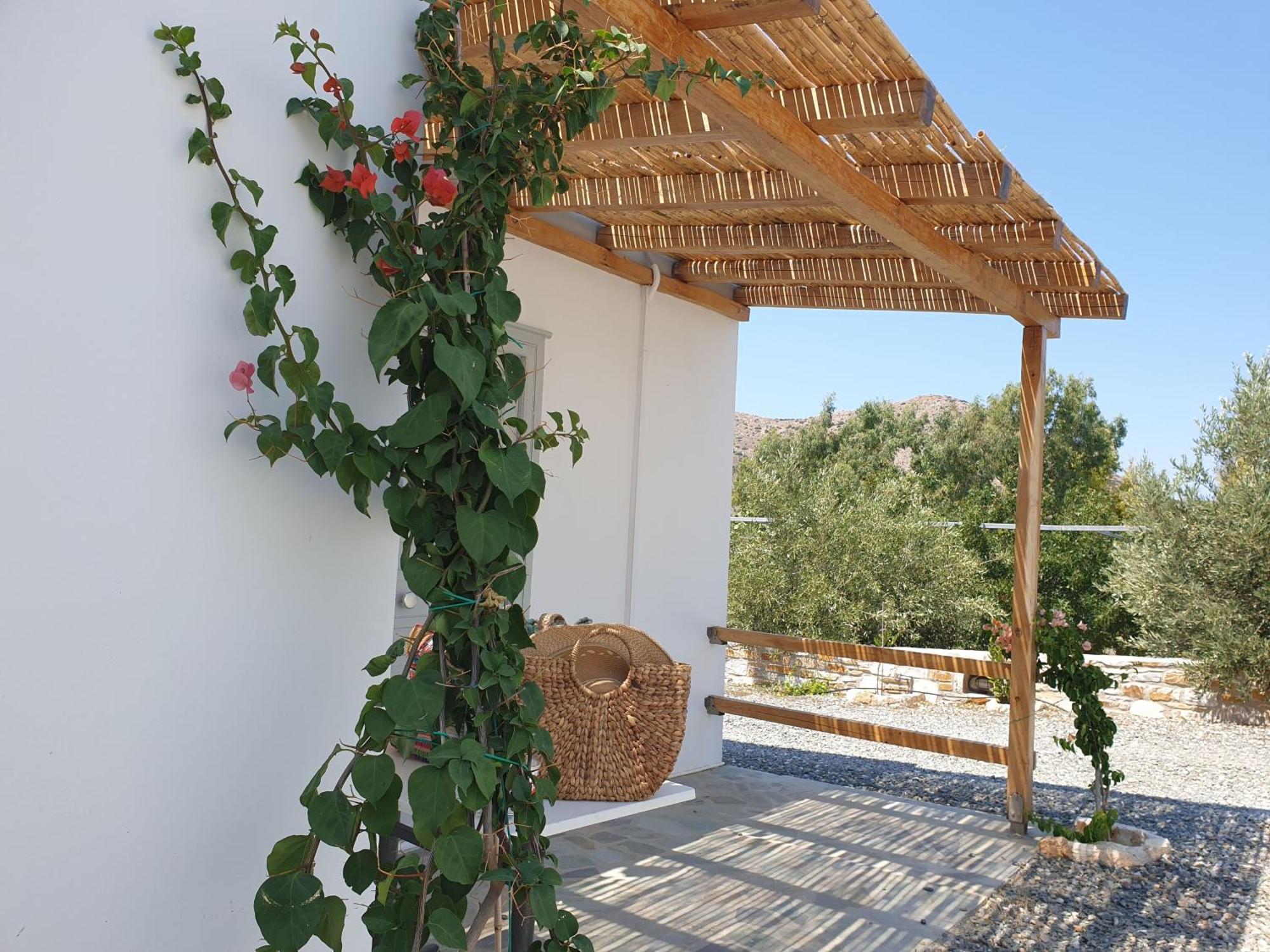 Anassa Cycladic Village Галисас Стая снимка